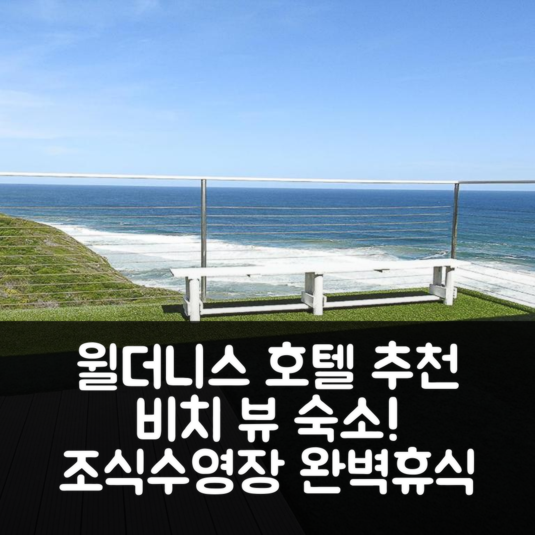 윌더니스 숙소 여행 호텔 추천 윌더니스 비치 뷰스 | 4성급 조식과 수영장으로 즐기는 이상적인 휴식 5가지