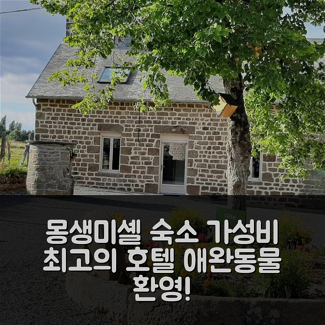 몽생미셸 숙소 여행 호텔 추천 메종 노르망드 오센티크 호텔 | 가성비 좋은 위치와 애완동물 환영 4가지 이유