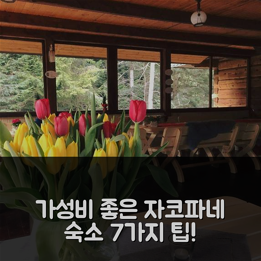자코파네 숙소 여행 호텔 추천 레스니치우카 프지시에트니차 | 3성급 가성비와 조식, 수영장으로 완벽한 휴식지 7가지 팁