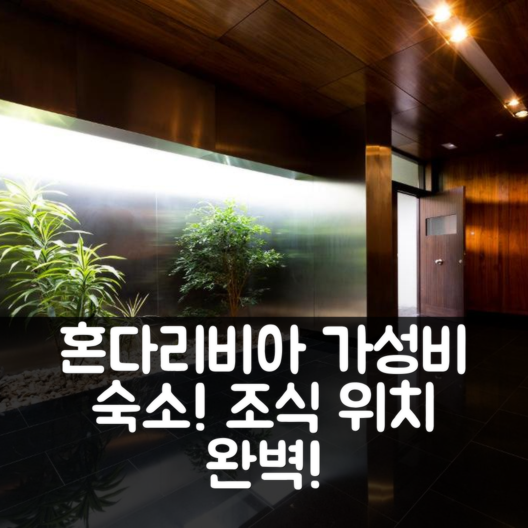 혼다리비아 숙소 여행 호텔 추천 로프트 2 바이 바스크릴레디스 | 가성비 최고의 조식과 위치 정보 7가지