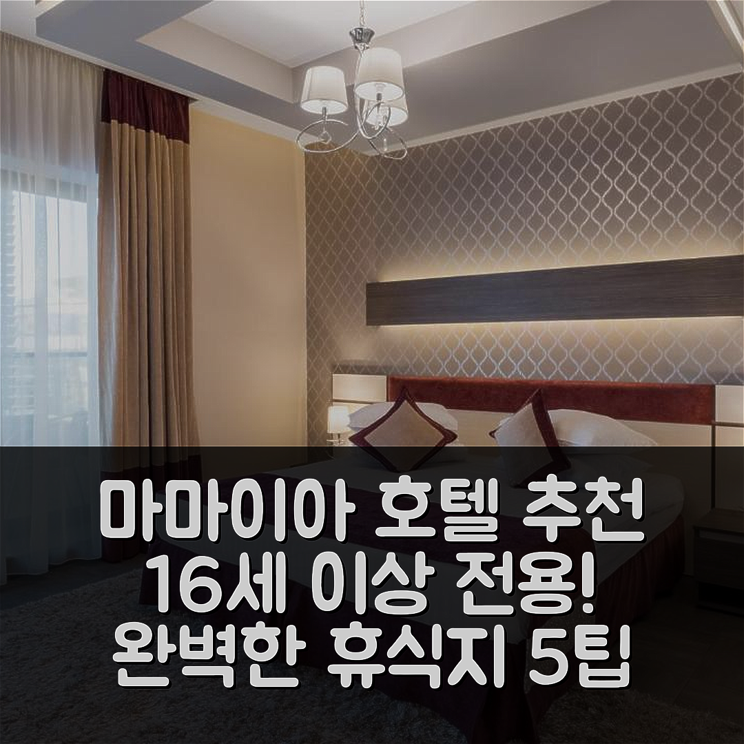마마이아 숙소 여행 호텔 추천 뉴 스플렌디드 호텔 앤 스파 | 16세 이상 전용 조식과 수영장 완벽한 휴식지 5가지 팁