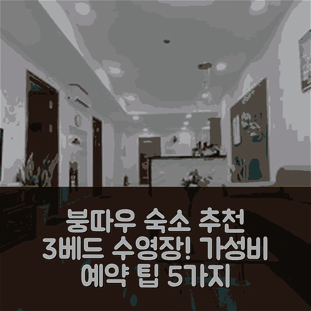 붕따우 숙소 여행 호텔 추천 푸옹 2의 아파트먼트 | 3베드룸 수영장과 가성비 최강 예약 팁 5가지