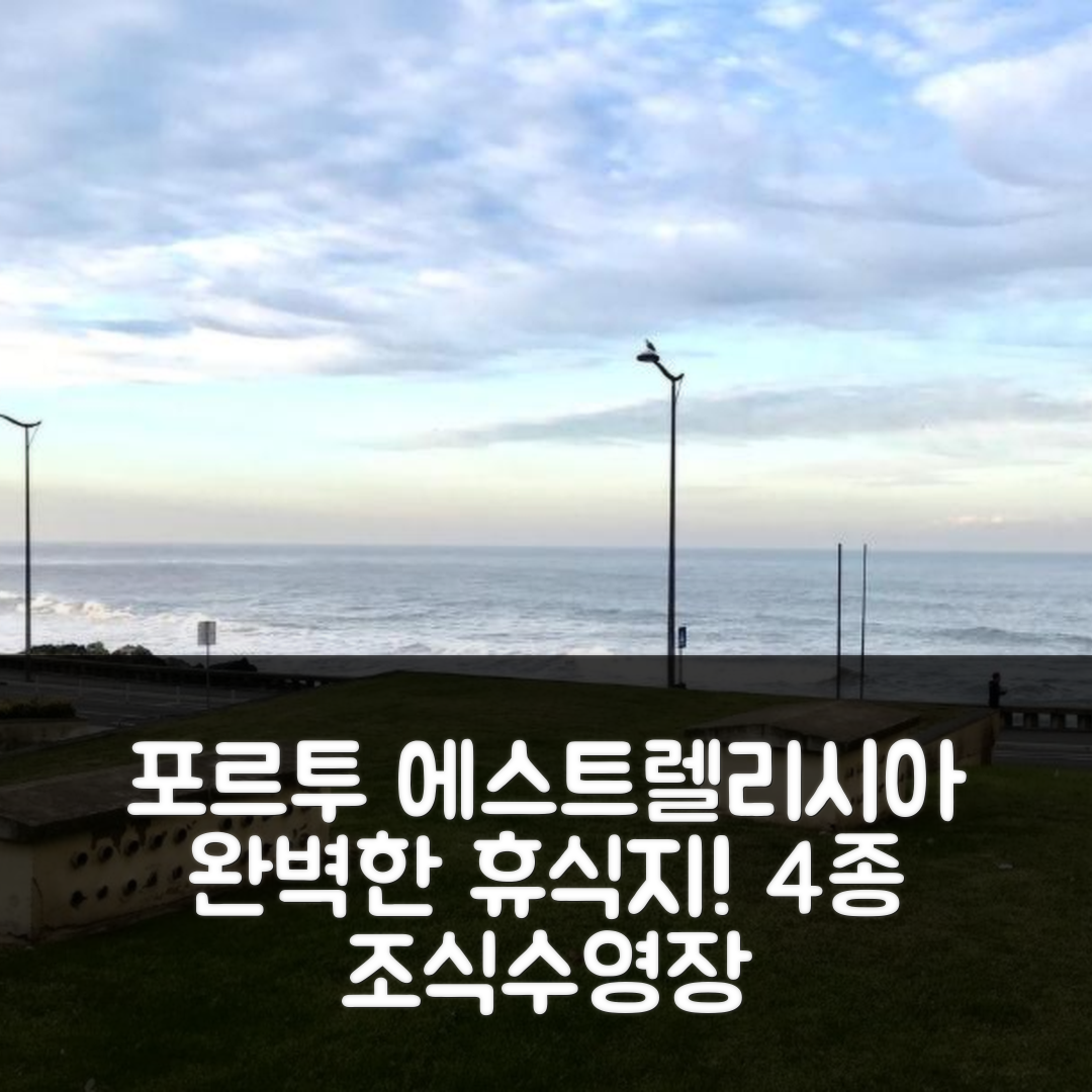 포르투 숙소 여행 호텔 추천 에스트렐리시아 호텔 | 4가지 조식과 수영장으로 완벽한 휴식지 확보법 7가지