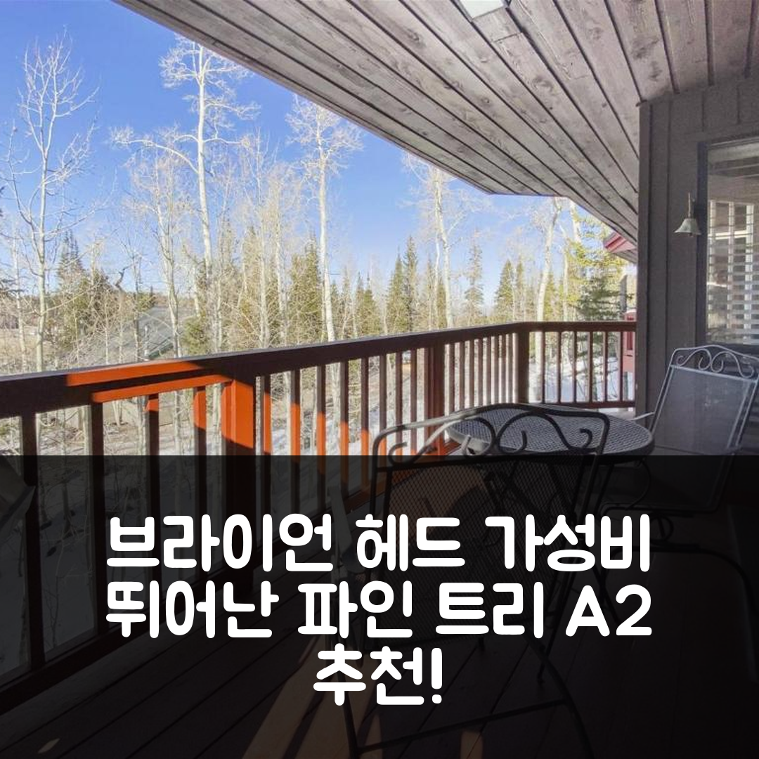 브라이언 헤드 숙소 여행 호텔 추천 파인 트리 A2 호텔 | 위치와 가성비 뛰어난 5가지 이유