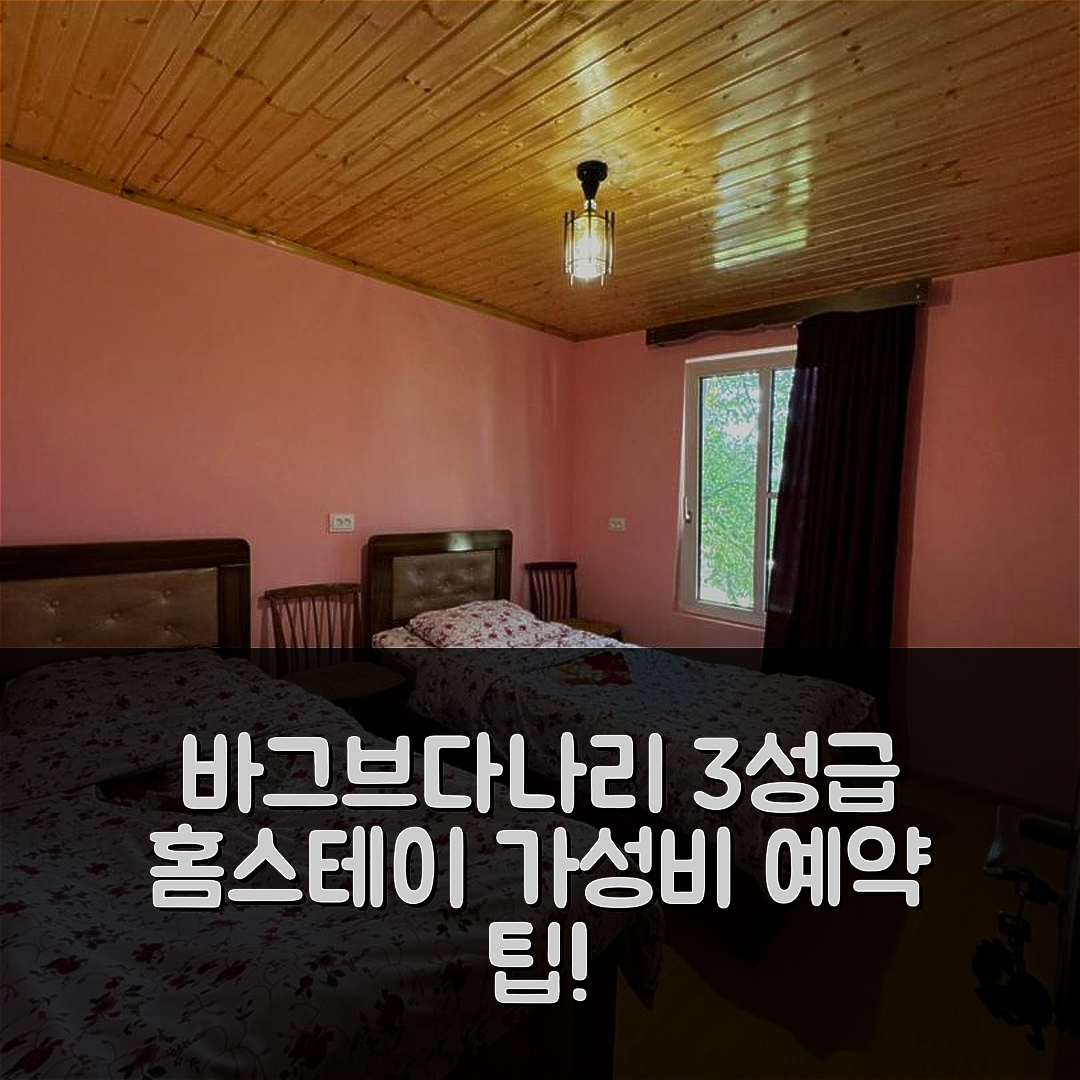 바그브다나리 숙소 여행 호텔 추천 쇼레나스 홈스테이 | 3성급 조식과 가성비 뛰어난 위치 및 예약 팁 5가지