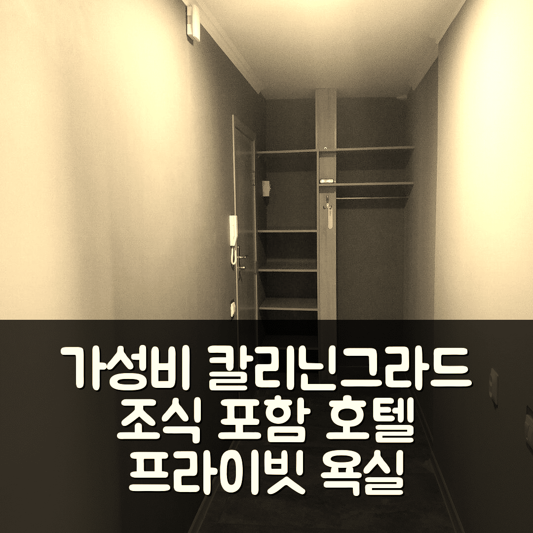 칼리닌그라드 숙소 여행 호텔 추천 아파트먼트 34m² | 가성비 좋은 4가지 조식과 프라이빗 욕실 정보