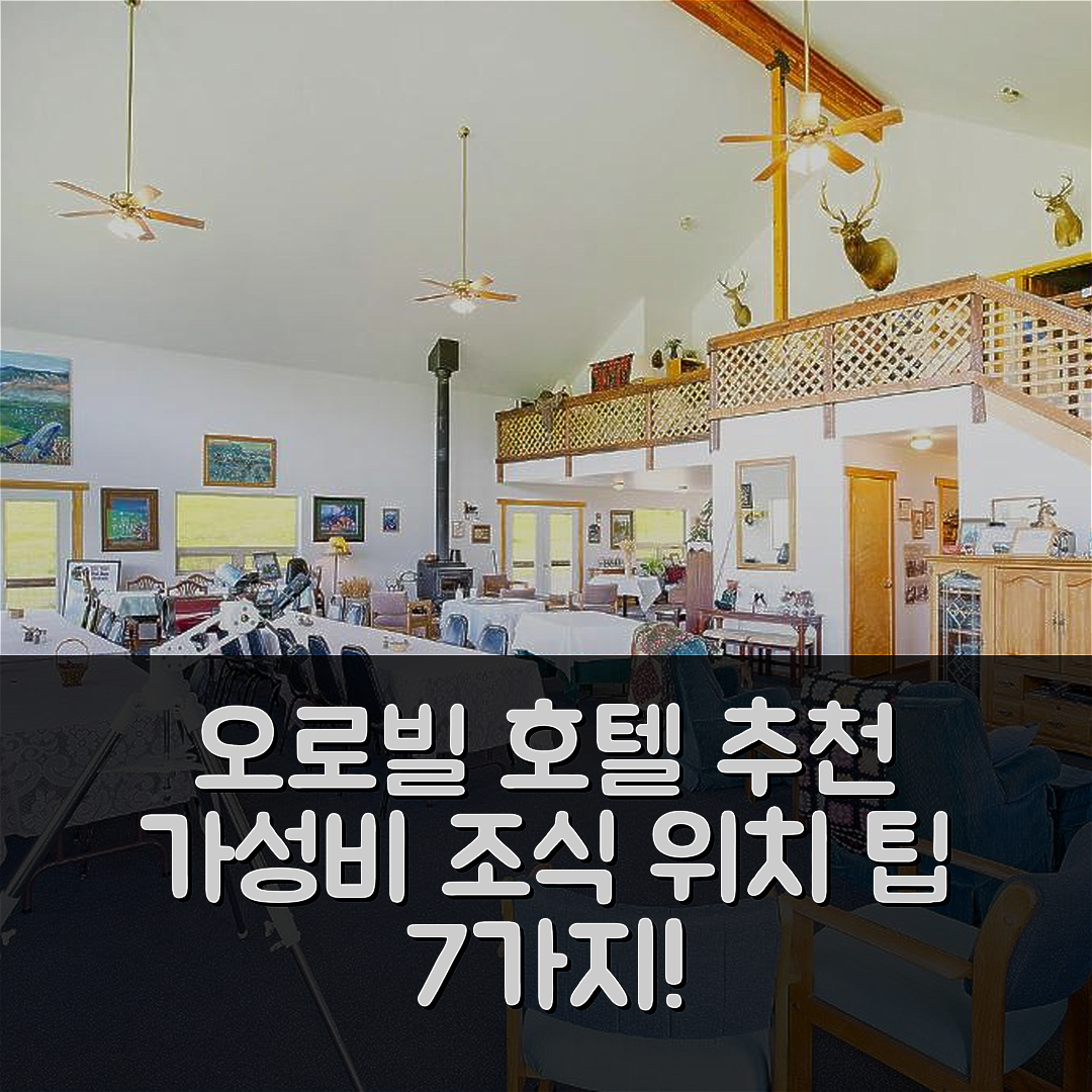 오로빌 숙소 여행 호텔 추천 프론티어 캐빈 | 가성비 뛰어난 조식과 위치 정보 7가지 팁