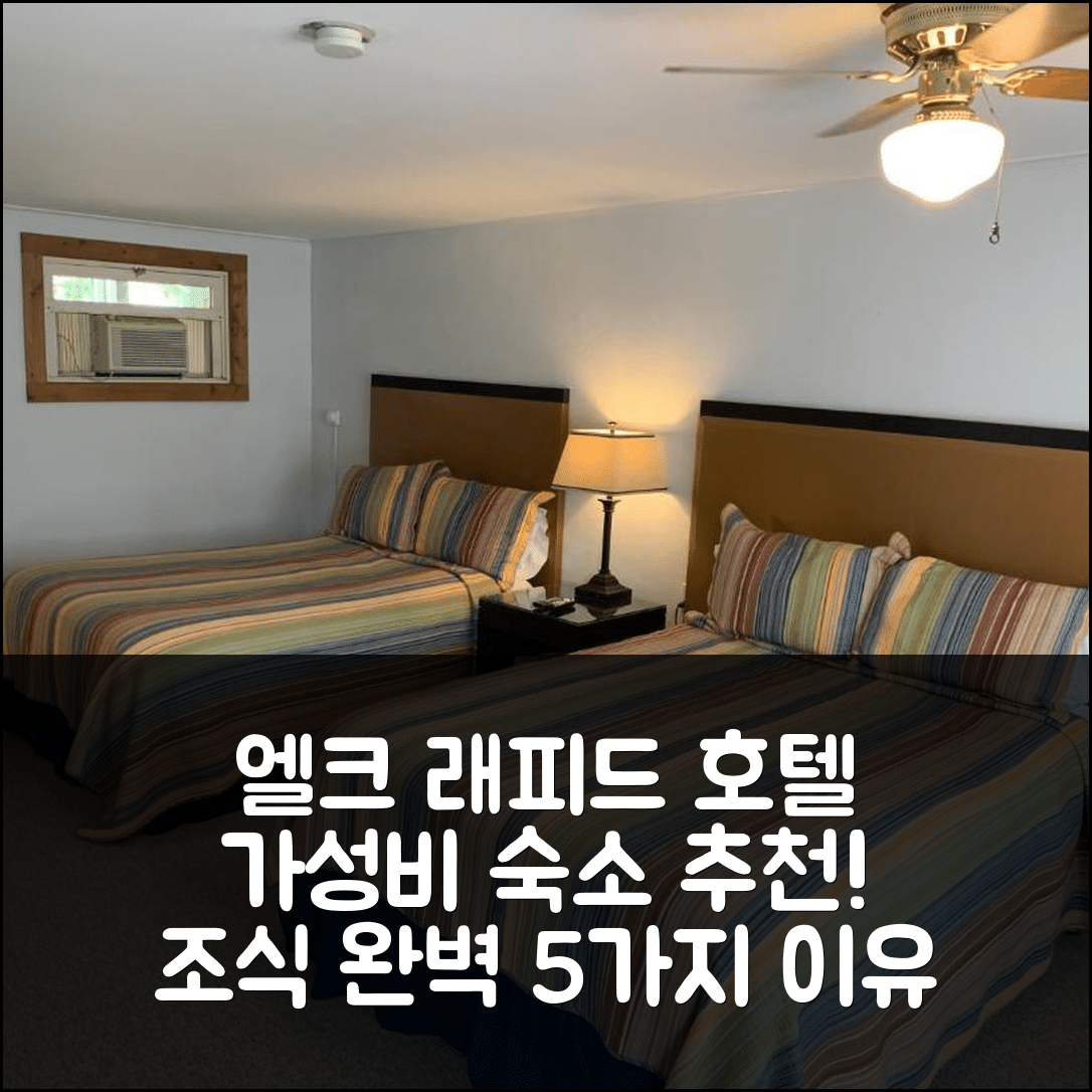 엘크 래피드 숙소 여행 호텔 추천 메이플 레인 엠파이어 | 가성비와 조식이 완벽한 5가지 이유