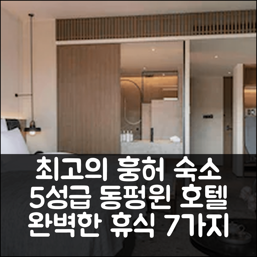 훙허 숙소 여행 호텔 추천 동펑윈 호텔 미레 | 5성급 조식과 수영장으로 완벽한 휴식지 7가지 팁