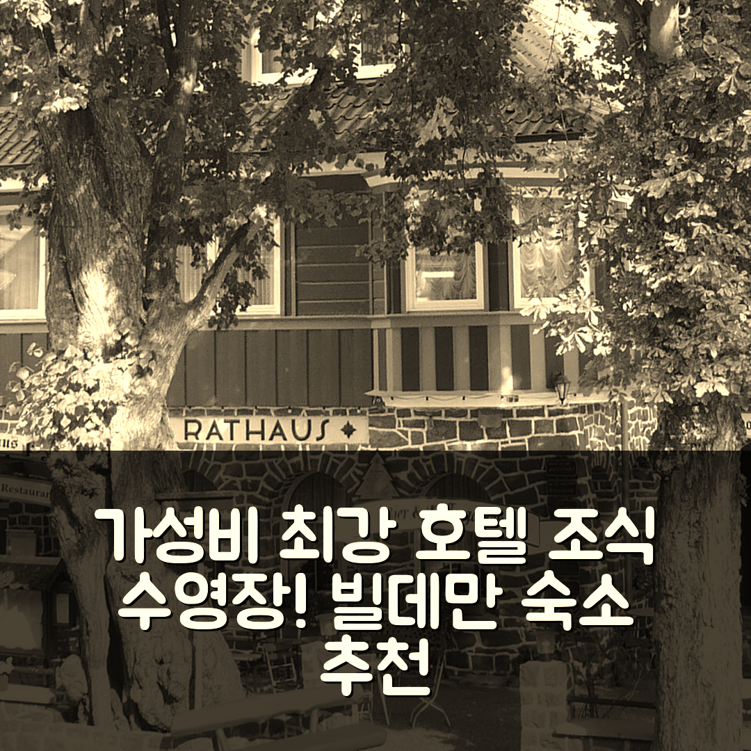 빌데만 숙소 여행 호텔 라타우스 | 조식과 수영장으로 가성비 최강 5가지 이유